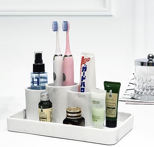Suanti Multi-Functional Toothbrush Holder with 3 Compartments