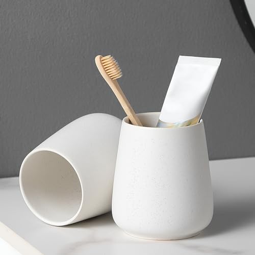 Exquisite Ceramic Toothbrush Holder Set 2-Pack Bathroom Kitchen Home Storage Solution