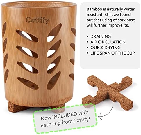 Eco-Friendly Bamboo Toothbrush Holder Set - Taste of Nature