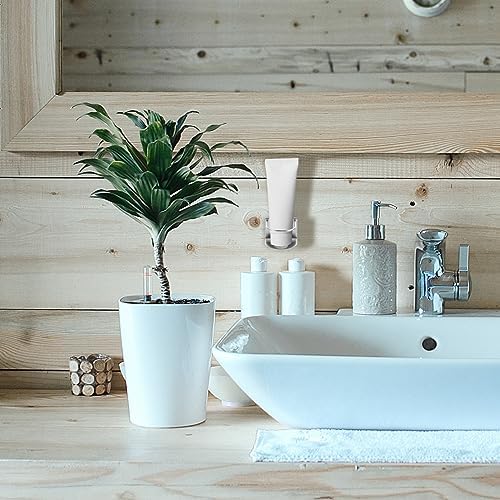 Stainless Steel Wall-Mounted Toothpaste Holder