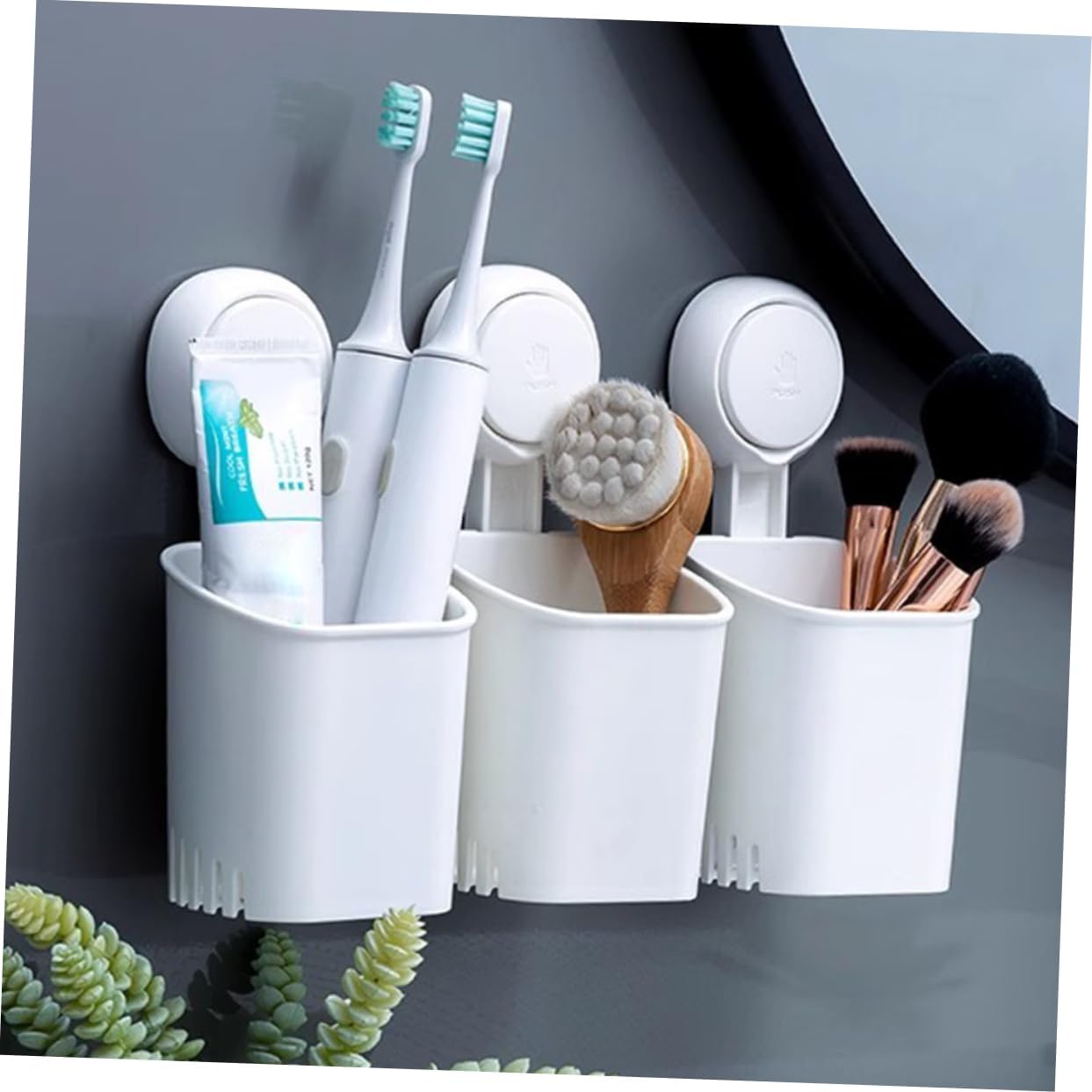 Perfect Wall Mount Toothbrush Organizer with Suction Cup