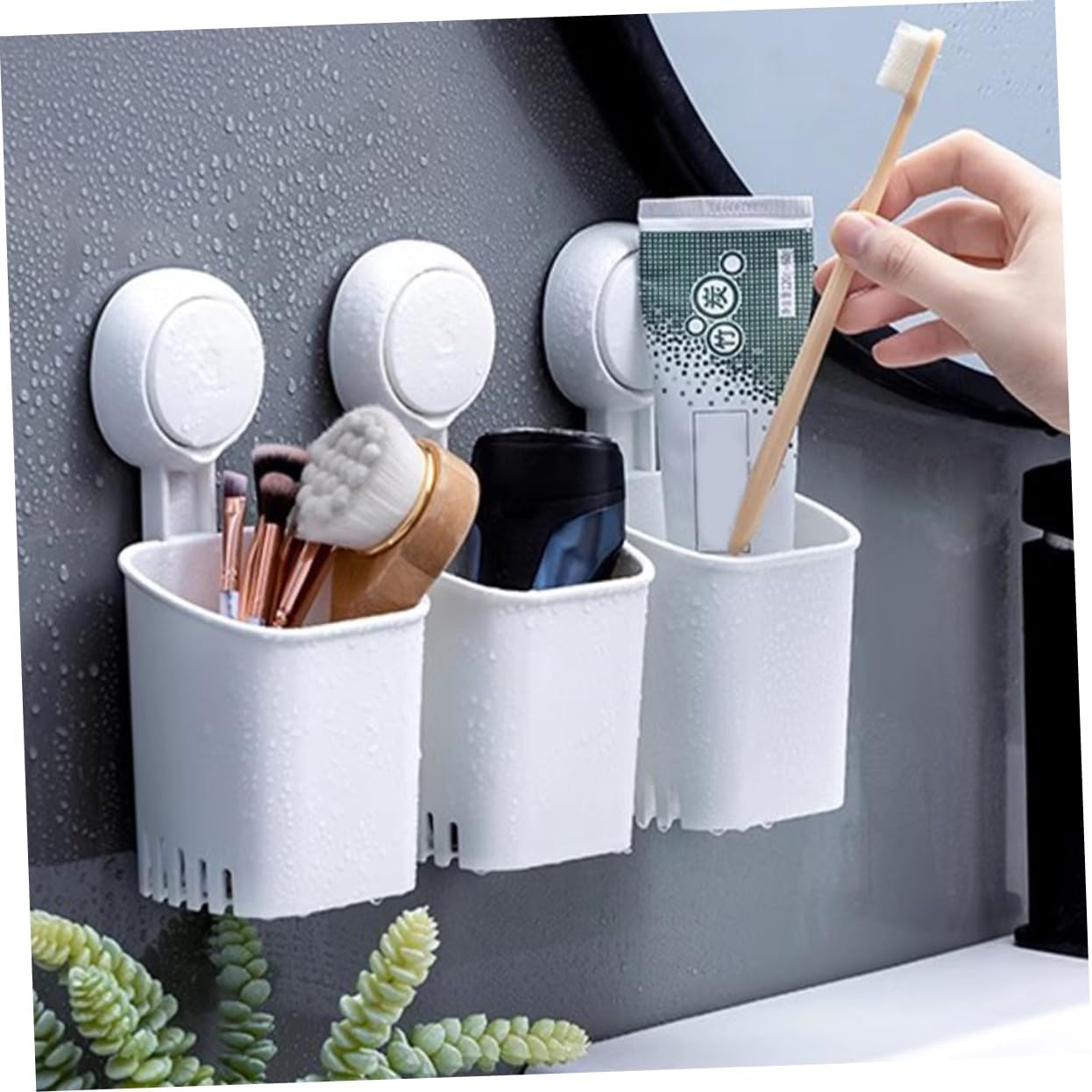Luxshiny Wall-Mounted Toothbrush Holder
